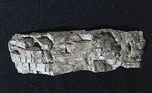 Woodland Scenics 1244 Rock Molds Facet Rock