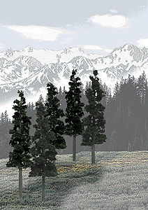 Woodland Scenics 1582 Scenery Coniferous Tree Pack - Ready Made Trees(TM) 6...