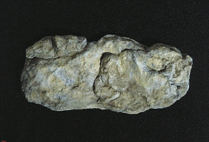 Woodland Scenics 1242 Rock Molds Washed Rock